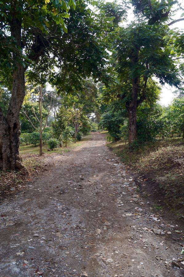 Arusha Villa Karamu Coffee Estate Usa River Bagian luar foto